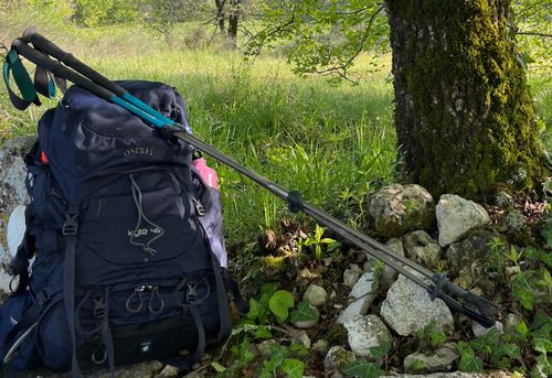 The Regenerative Walk