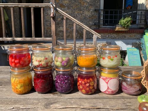 Atelier lactofermentation