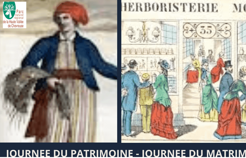 Promenade à la rencontre des botanistes et herboristes femmes