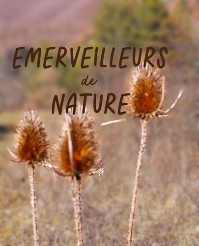 ANIMATIONS NATURE ENFANTS/PARENTS