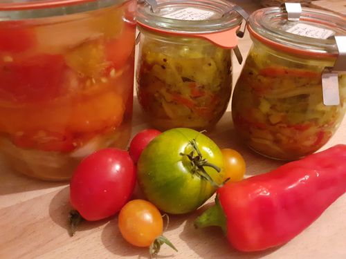 Atelier Lacto-fermentation