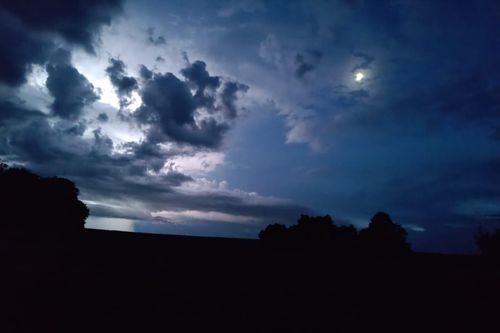 Sortie nocturne
