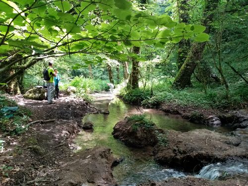 Atelier en nature "A la recherche du blob"