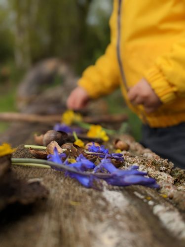 Atelier en famille en forêt de Sénart