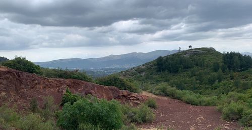 Le Garlaban, sa flore spécifique et Marcel