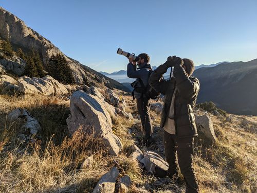 Sortie découverte du chants des oiseaux en Isére