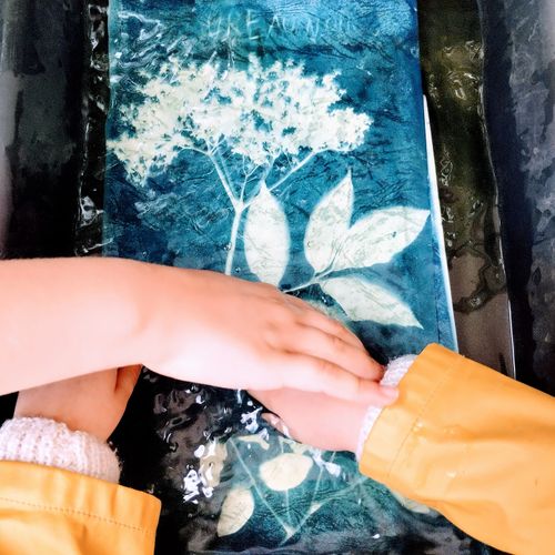 Botanique et Cyanotype