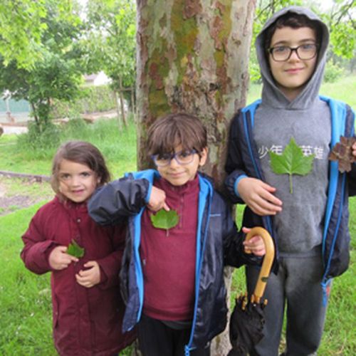 L’Arbre, ce grand ami !