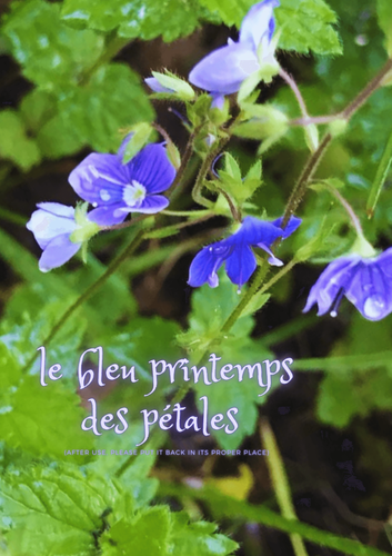 AU PRINTEMPS LE PETIT PEUPLE DES YEUX BLEUS