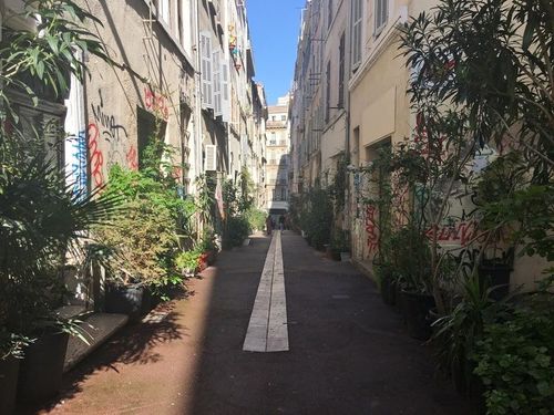 Balade buissonnière, la biodiversité en ville