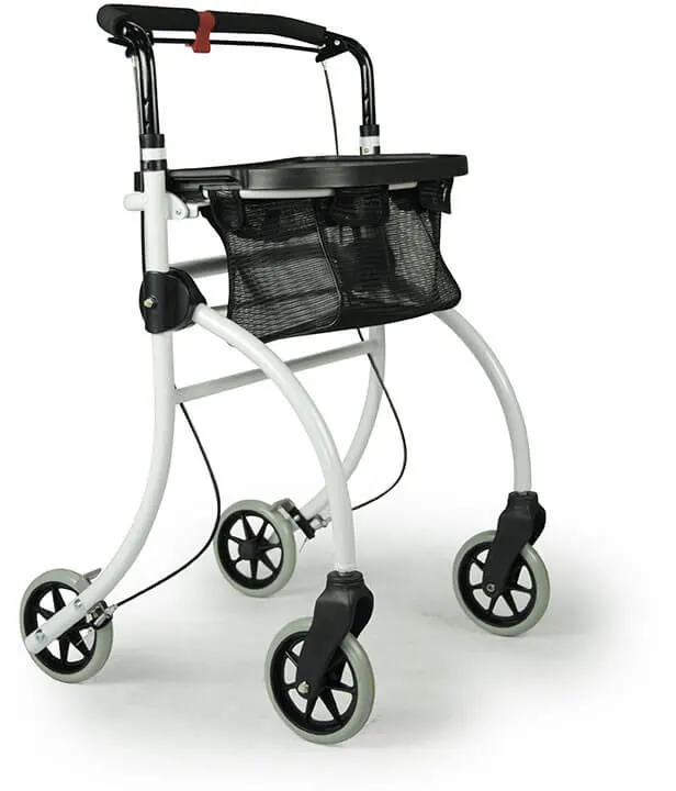 Indoor-Rollator Roomba