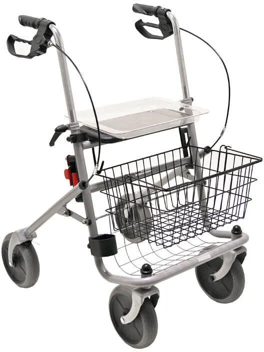 Standard-Rollator Cristallo
