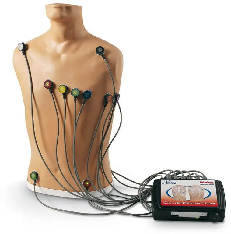 15-Kanal-EKG-Platzierungstrainer
