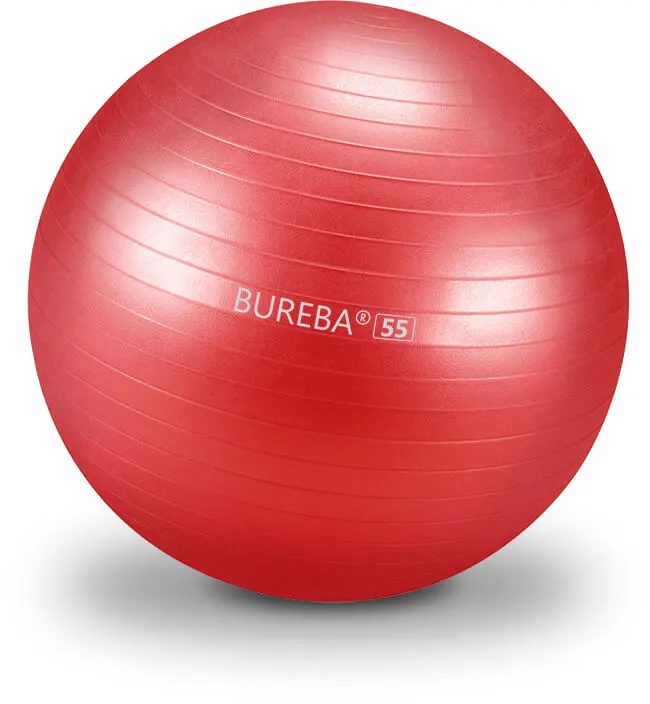 Bureba Ball Professional