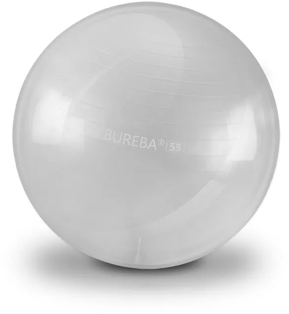 Bureba Ball Professional