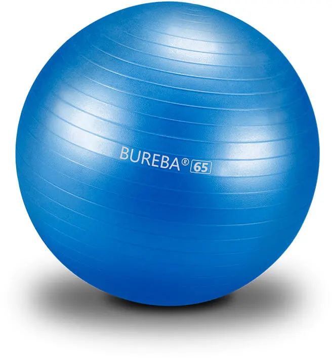 Bureba Ball Professional