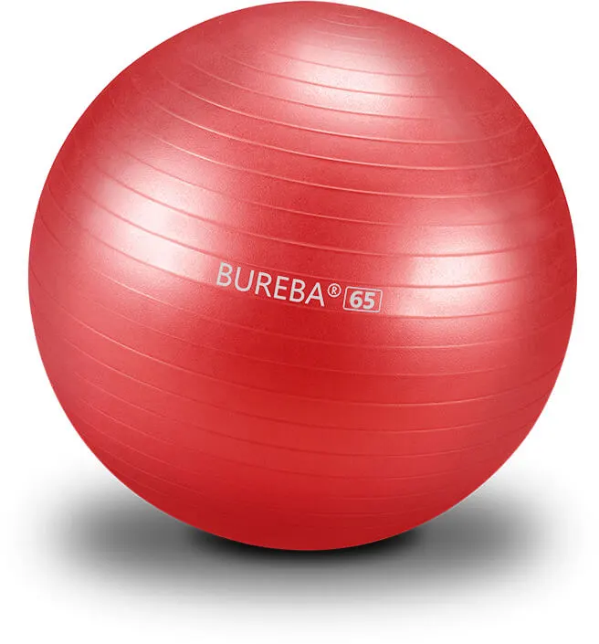 Bureba Ball Professional