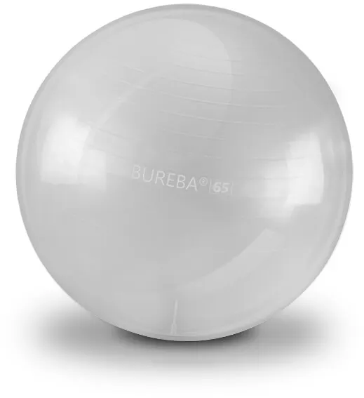 Bureba Ball Professional