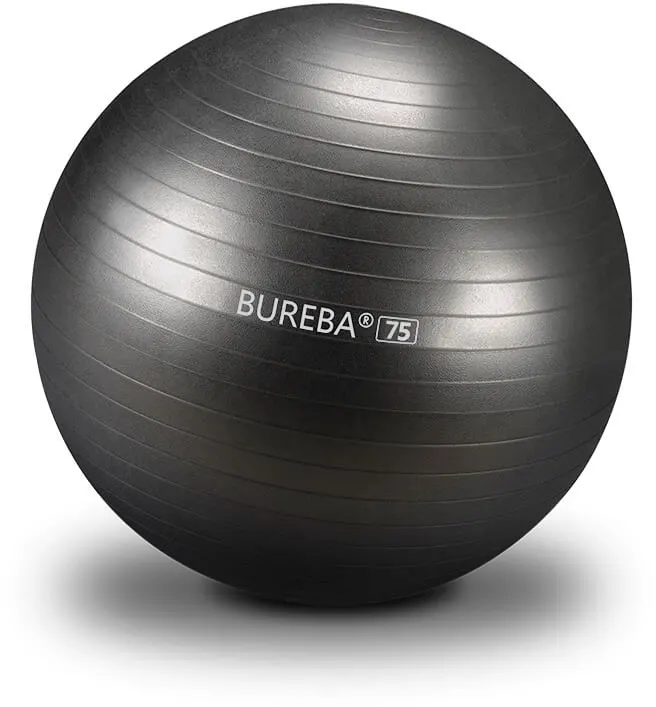 Bureba Ball Professional