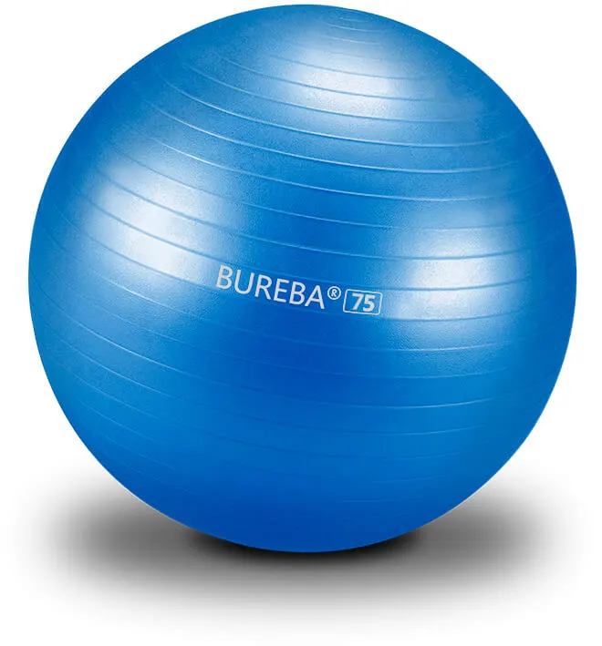 Bureba Ball Professional