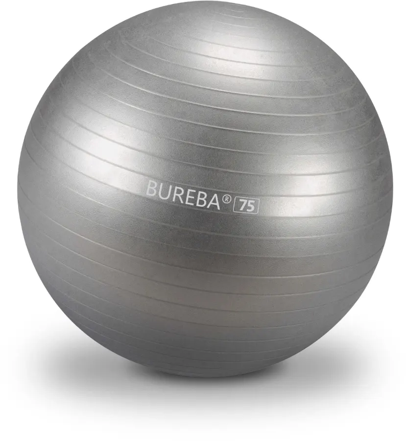 Bureba Ball Professional
