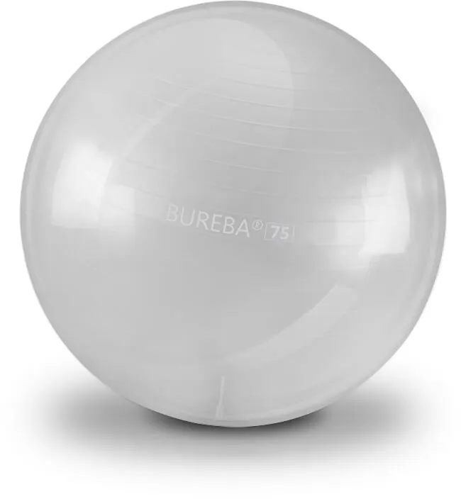 Bureba Ball Professional