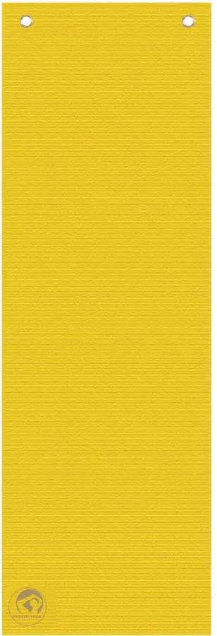 YogaMat Professional
