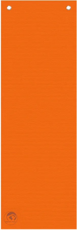YogaMat Professional